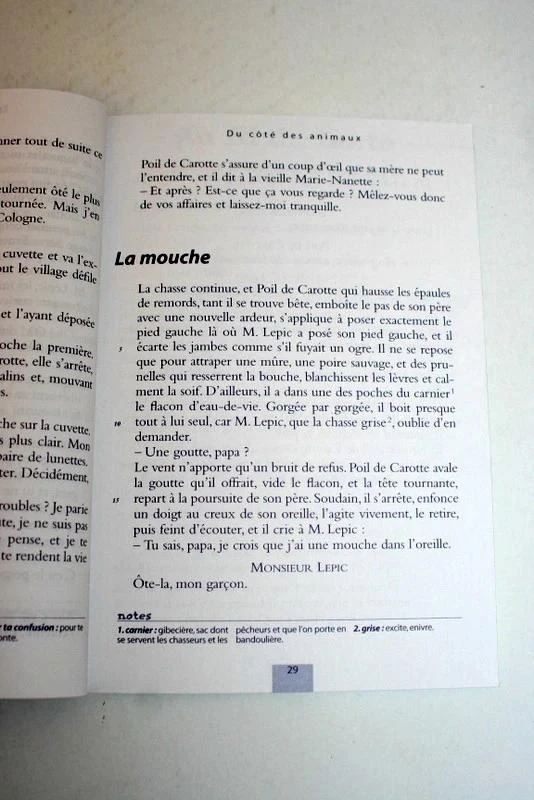 Poil de Carotte van Jules Renard – photo 3